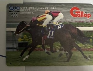 最新　フラワーパーク　スプリンターズS　クオカード　当選通知あります　週刊 Gallop 抽プレ 10人　当選品 ギャロップ　gallop　新品