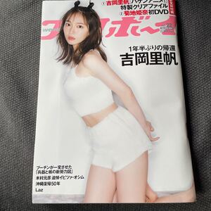 新品未読 集英社　週刊プレイボーイ 2022年22 号吉岡里帆 特製クリアファイル　菊地姫奈DVD未開封　田口愛佳 虹村かんな 渡邉理佐 他