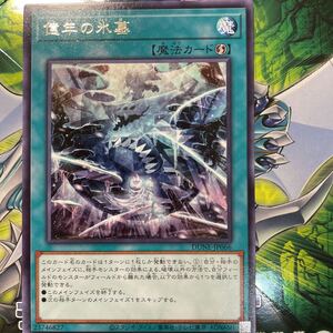 遊戯王　レア　DUNE-JP066　億年の氷墓　DUELIST NEXUS