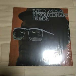 Pablo Moses / Revolutionary Dream LP 名盤 希少