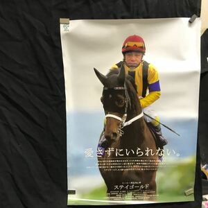 競馬　JRA ポスター ステイゴールド　B3サイズ　