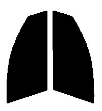 スモーク　26％ 運転席、助手席　アクセラ　セダン　BK　カット済みフィルム　国産