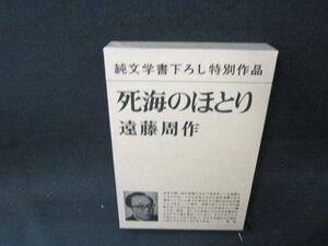 死海のほとり　遠藤周作/BDZH