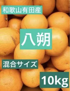 和歌山有田産　八朔　10kg