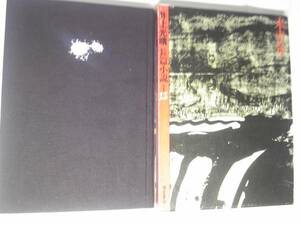 「井上光晴長編小説全集１２ 未青年」福武書店発行　1984年1月30日第1刷