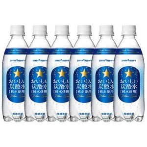 ポッカサッポロ おいしい炭酸水 ペットボトル 無糖0cal 500ml 1箱(24本入)