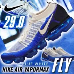 NIKE AIRMAX VAPORMAX 29.0 29 BCW10 ナイキ