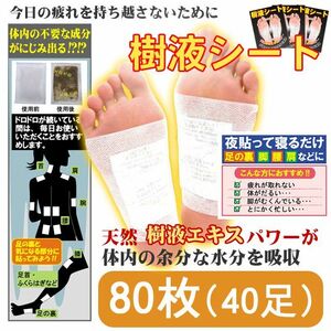 足裏樹液シート (80枚入・両足40回分)