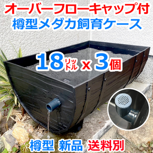 メダカ飼育ケース 樽型【大】黒 3個 オーバーフローキャップ付 送料別 めだか飼育容器 金魚鉢 水槽 睡蓮鉢 ビオトープ容器【五色アクア】