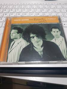 ■Blank & Jones feat. Robert Smith「A Forest(CD+DVD)」■