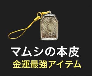 11 マムシの皮 金運 開運 一攫千金 魔除け 家内安全 守り神