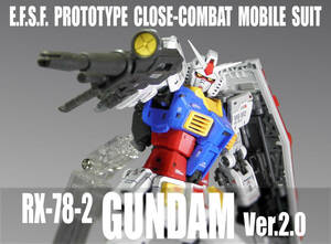 RG 1/144　RX-78-2　ガンダム Ver.2.0【 塗装完成品 】/ 機動戦士ガンダム / バンダイスピリッツ