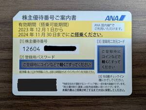 ANA 株主優待券 2024年11月30日期限 ※コード通知