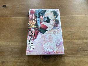 捨てられた花嫁はエリート御曹司の執愛に囚われる 冬野まゆ