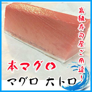 本マグロ 大トロ 500g まぐろ 鮪