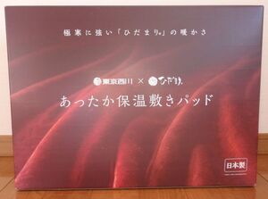 ７割引き！東京西川×ひだまり★あったか保温敷パッド♪極寒に強い「ひだまり」の暖かさ♪ダブルサイズ　ベージュ系　送料無料！