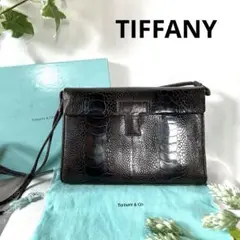 希少 TIFFANY ティファニー ショルダーバッグ クロコ型押し 箱付き