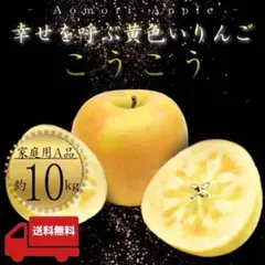 青森県産 ＂ こうこう ＂ りんご 家庭用 10kg 農家直送 リンゴ 林檎