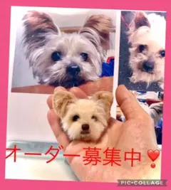 羊毛フェルト❣️犬のブローチ　オーダー　募集中‼️