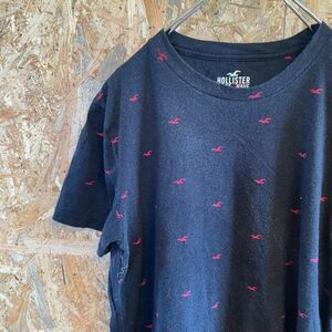 [KWT5378] HOLLISTER 半袖Tシャツ メンズ ネイビー XS ポス