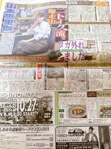 サンスポ　新聞記事　ヒューマン　山本恵里伽　この記事のみです