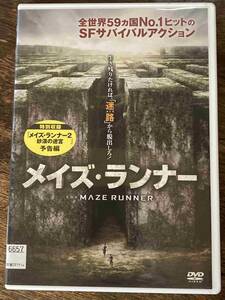 ■DVD■ メイズ・ランナー 洋画 映画 C1-576-1152 ディラン・オブライエン/カヤ・スコデラーリオ/トーマス・ブローディ・サングスター