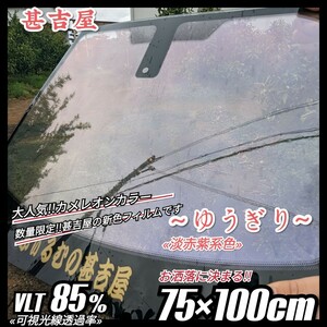 《1点のみ!!》ウィンドウフィルム ~ ゆうぎり ~ カメレオンカラー 淡赤紫系色 プライバシー保護 飛散防止 お洒落 縦75×横100cm リア等