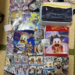 東京ディズニーリゾート ドナルドダック 実写グッズセット