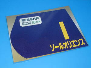 匿名送料無料 ★第83回 皐月賞 2023 GⅠ 優勝 ソールオリエンス ミニゼッケン 18×25センチ ☆横山武史 中山競馬場 限定販売☆即決！ウマ娘