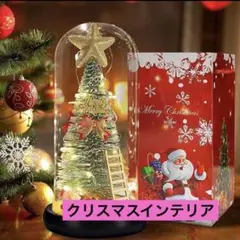 クリスマスドーム卓上 クリスマスツリー ガラスドームインテリア クリスマス