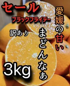 愛媛県　まどんなぁ　愛果28号　3kg　ブラックフライデー　セール　柑橘　みかん