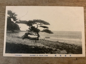 ■送料無料■ 熱海横磯 熱海市 静岡県 人物 絵葉書 エンタイア 写真 印刷物 風景 /くSIら/FF-899