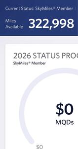 デルタ航空　スカイマイル322,998 口座譲渡　DELTA SKYMILES 