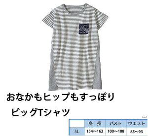 3Lサイズ おしりまですっぽりビックTシャツ カットソー 大きいサイズ　レディース NH855 (ポスト投函 送料無料）