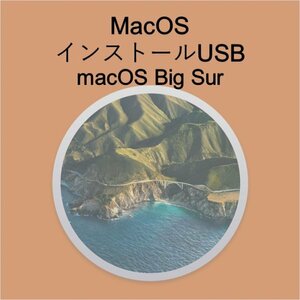 (v11) macOS Big Surインストール用USB [1]
