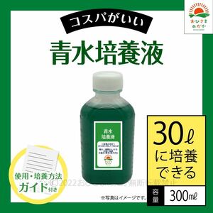 【青水グリーンウォーター培養液（300ml）30L培養分】メダカめだか金魚錦鯉らんちゅうミジンコゾウリムシクロレラPSBミドリムシなどに