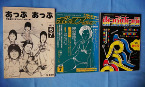 ■雑誌『あっぷあっぷ』北陸ローカル　福井　石川　富山■エログロ　サブカル　映画　ロック　ボーイズ■　
