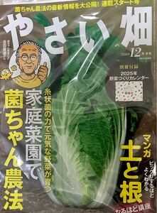 やさい畑 2024年12月冬号　未開封