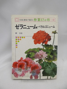 ☆A2407　NHK趣味の園芸・作業12か月 13 ゼラニューム・ペラルゴニューム