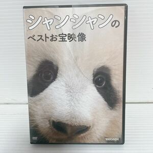 未検品 DVD シャンシャンのベストお宝映像 ケース破れ有りC068