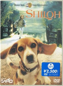 G00031696/【即決/送料無料】DVD/ブレーク・ハーロン(ブレイク・ヘロン)「ビーグル犬 シャイロ」