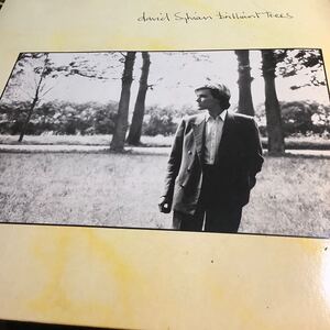 レア プロモ盤 David Sylvian - Brilliant Tree LP レコード シンセポップ ニューウェーブ 1984 made in Japan 日本製