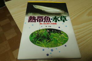 熱帯魚・水草　飼い方と育て方図鑑　森文俊