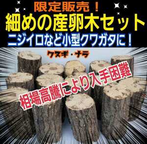 細めの産卵木【2本セット】クヌギ・ナラ☆ニジイロクワガタやコクワなど小型種に最適です！直径7～10センチ☆長さ約13～14センチ☆入手困難