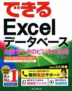 できるExcelデータベース 大量データのビジネス活用に役立つ本 2016/2013/2010/2007対応/早坂清志(著者