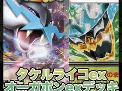 構築済みデッキ　ポケモンカードゲーム　タケルライコデッキ　ライコポン　格安構築