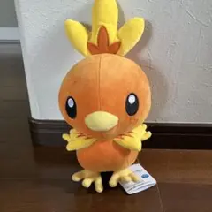 ポケモン アチャモぬいぐるみ