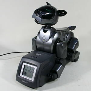 メンテナ完 AIBO ERS-210（本体色ブラック） 【動作品】 動画公開中 バッテリーリセル済