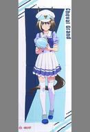 中古タペストリー シュヴァルグラン BIGタペストリー 「ウマ娘 プリティーダービー Season 3 × RO