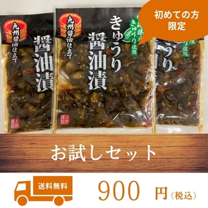 初めて購入される方限定商品 きゅうり油漬け 100g 3袋 上沖産業 漬物 加工食品 国産 送料無料 宮崎県産 きゅうり 国産野菜 お試し